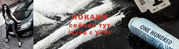 твердый Горняк