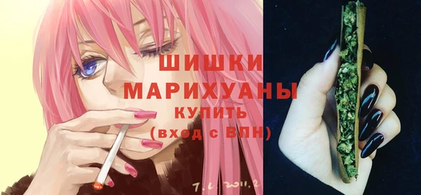 твердый Горняк