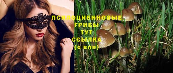 твердый Горняк