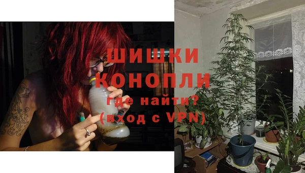 твердый Горняк