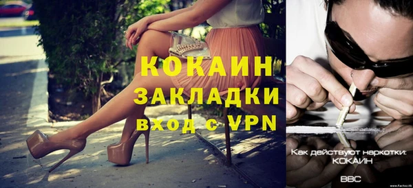 твердый Горняк