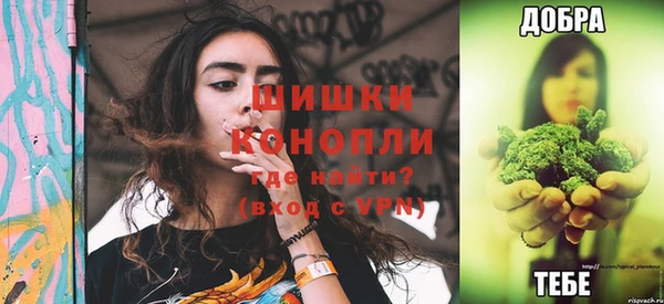 твердый Горняк