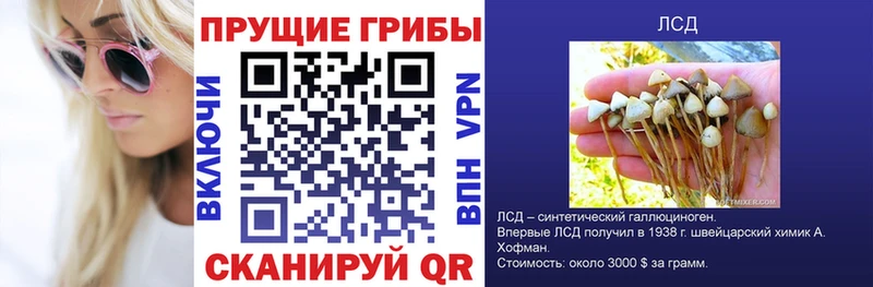 Галлюциногенные грибы прущие грибы  Рязань 